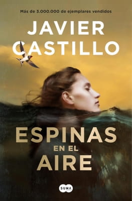 Portada del libro Espinas en el aire (Javier Castillo)
